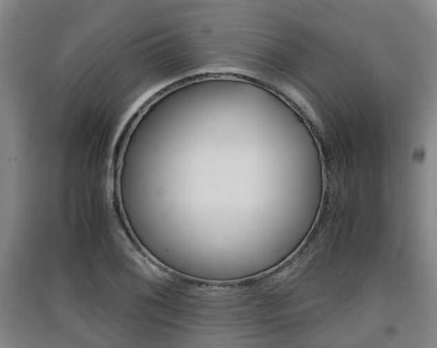 X0000091551076200708171036