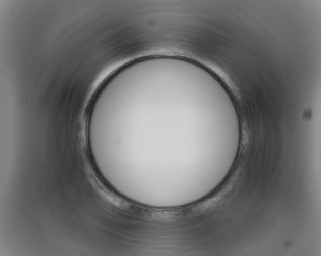 X0000091551078200708171036