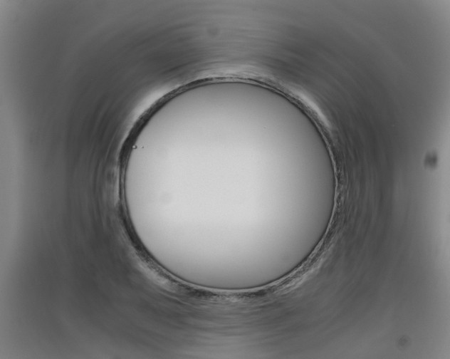 X0000091551079200708171036