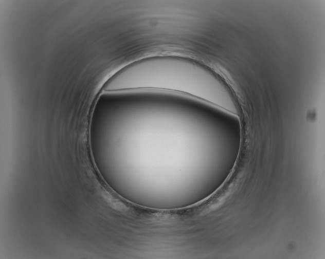 X0000091551081200708171036