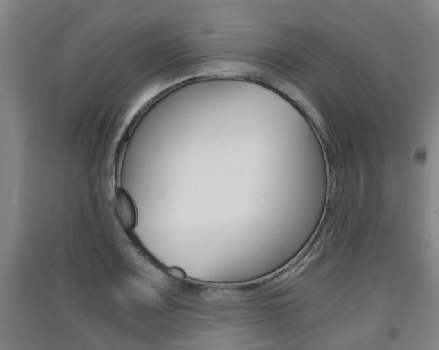 X0000091551083200708171036