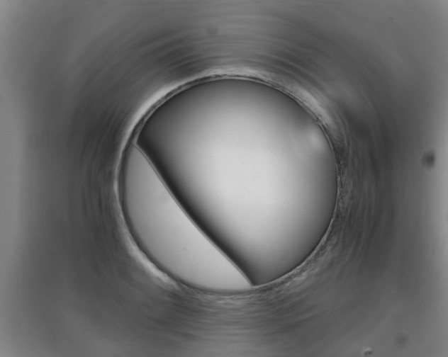 X0000091551084200708171036