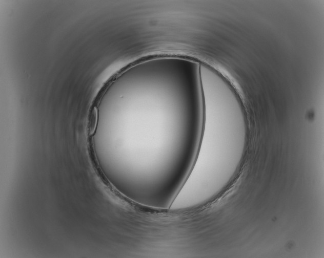 X0000091551085200708171036