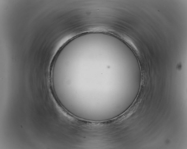 X0000091551087200708171036