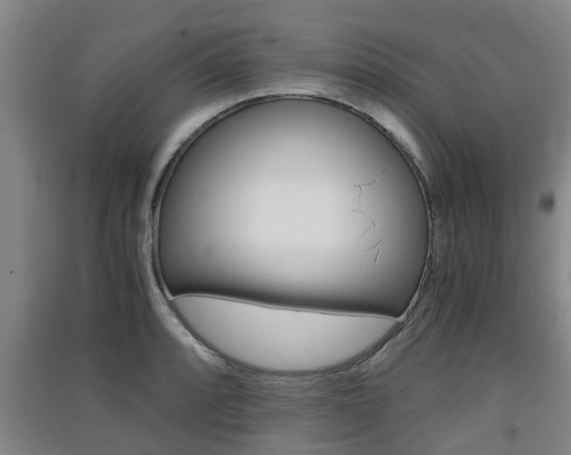 X0000091551088200708171036