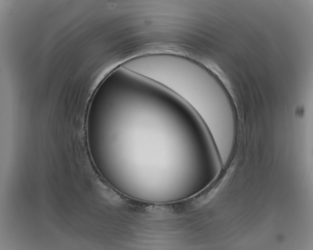 X0000091551089200708171036