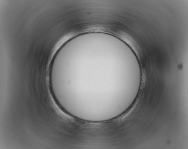 X0000091551090200708171036