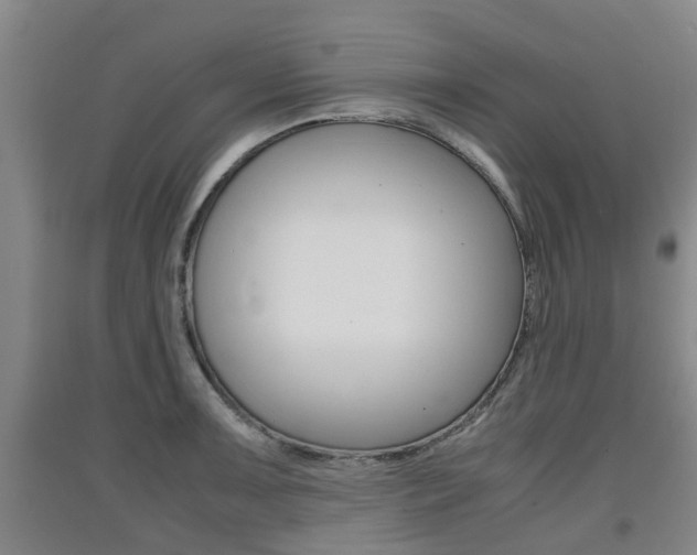 X0000091551091200708171036