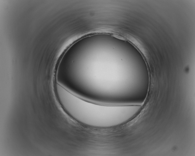 X0000091551093200708171036
