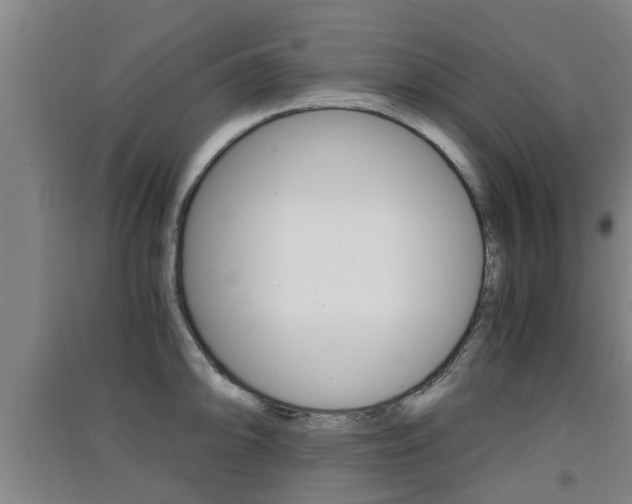 X0000091551094200708171036