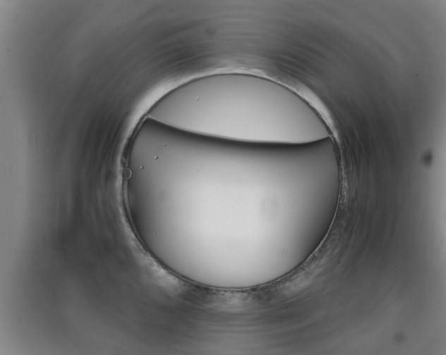 X0000091551096200708171036
