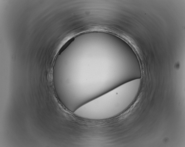 X0000091551097200708171036