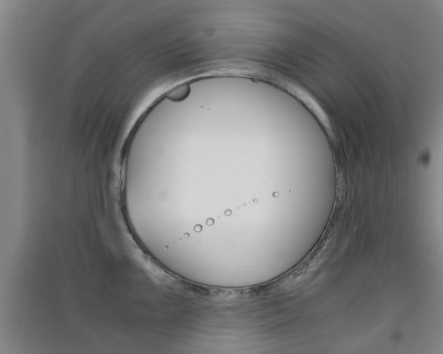 X0000091551099200708171036