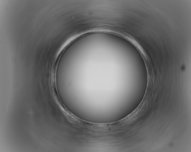 X0000091551101200708171036