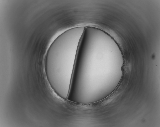X0000091551102200708171036