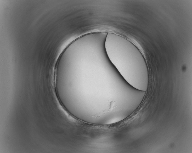 X0000091551103200708171036