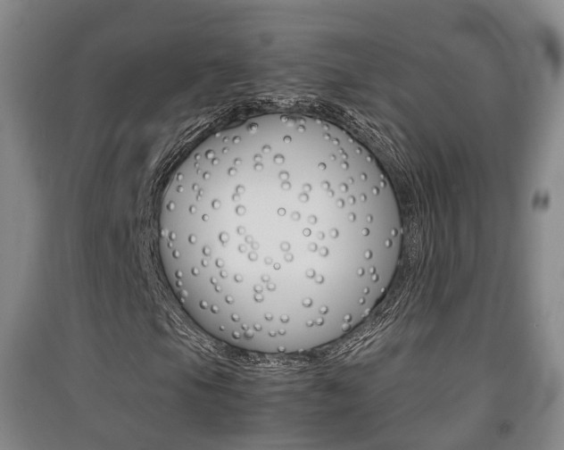 X0000091551105200708171035