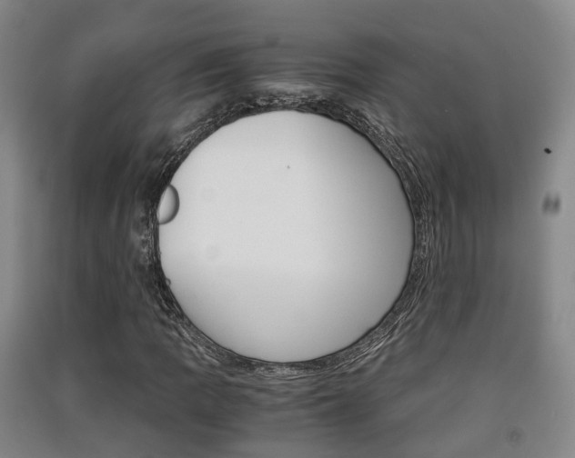 X0000091551109200708171035