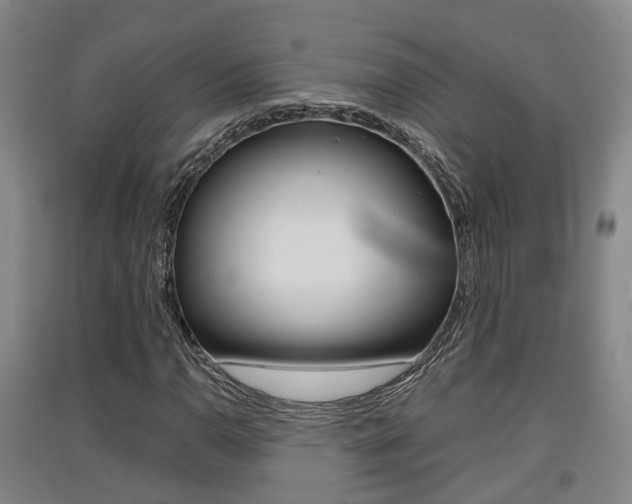 X0000091551110200708171035