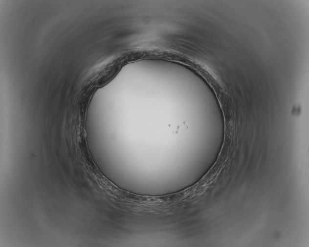 X0000091551111200708171035