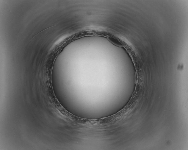 X0000091551112200708171035