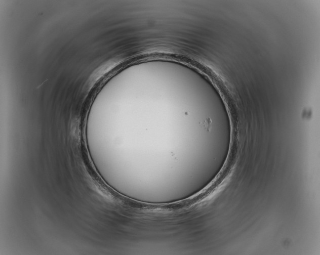 X0000091551113200708171035