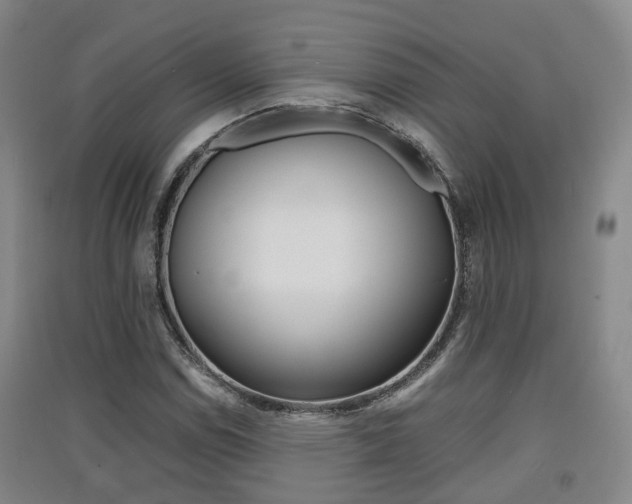 X0000091551114200708171035