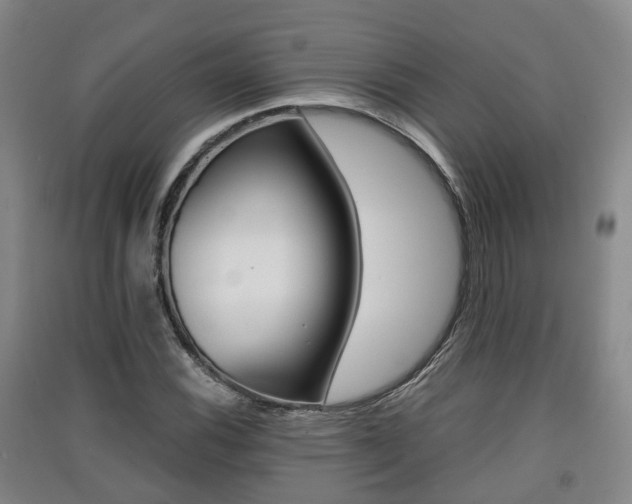 X0000091551116200708171035