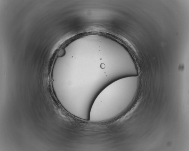 X0000091551117200708171035