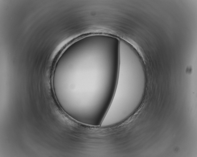 X0000091551120200708171035