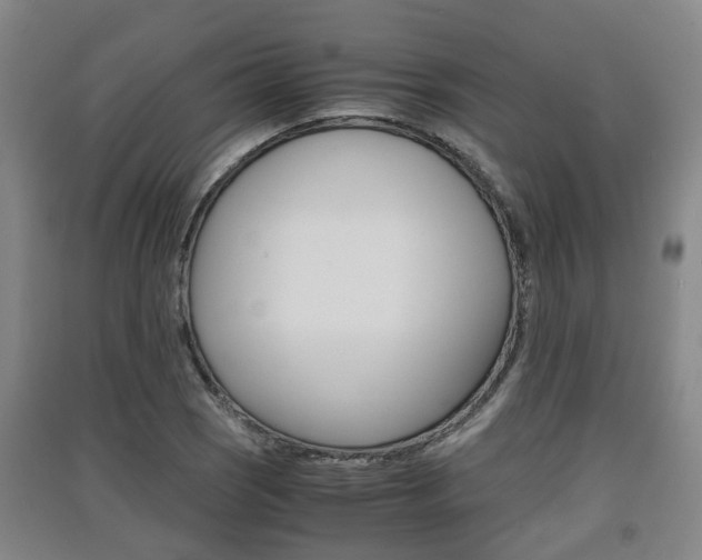X0000091551121200708171035