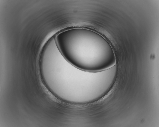 X0000091551122200708171035