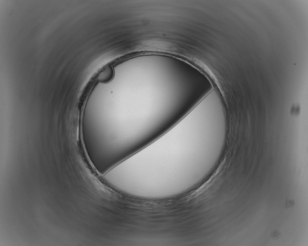 X0000091551123200708171035