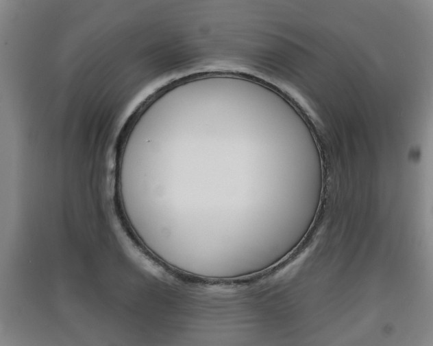 X0000091551126200708171036
