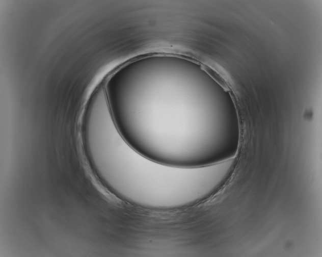 X0000091551128200708171036