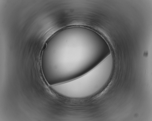 X0000091551129200708171036