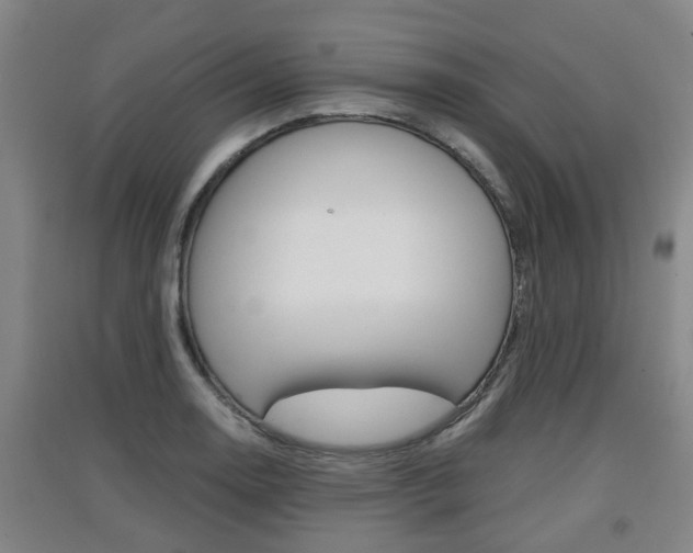 X0000091551130200708171036