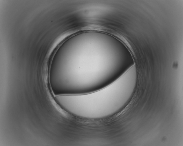X0000091551131200708171036