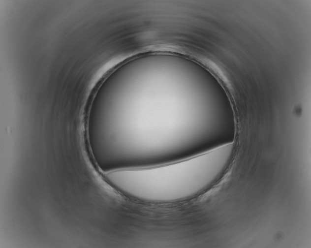 X0000091551133200708171036