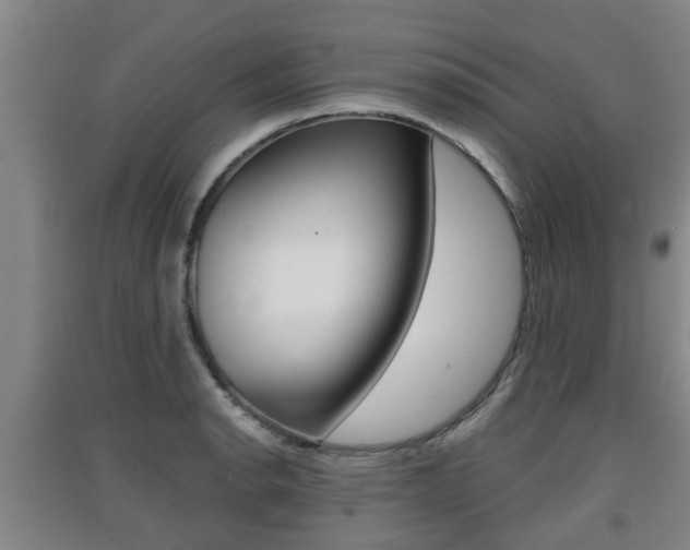 X0000091551134200708171036