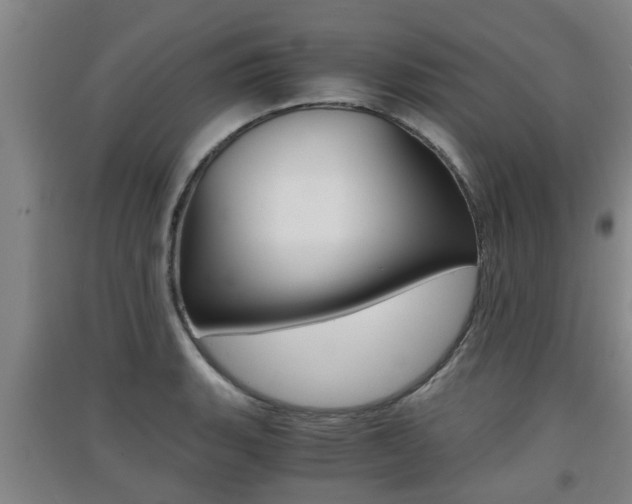 X0000091551135200708171036