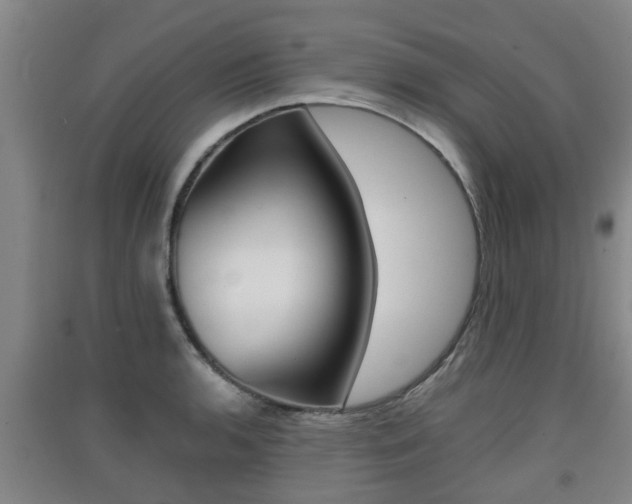 X0000091551136200708171036