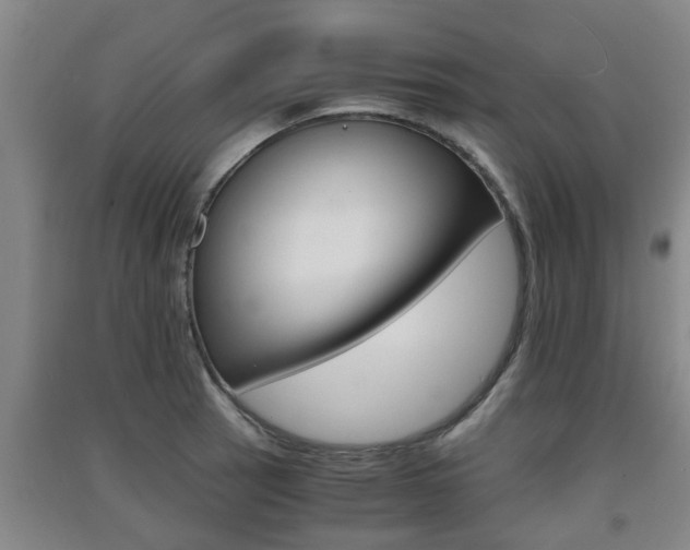 X0000091551137200708171036