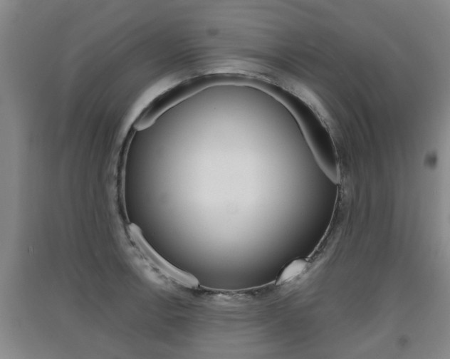 X0000091551138200708171036