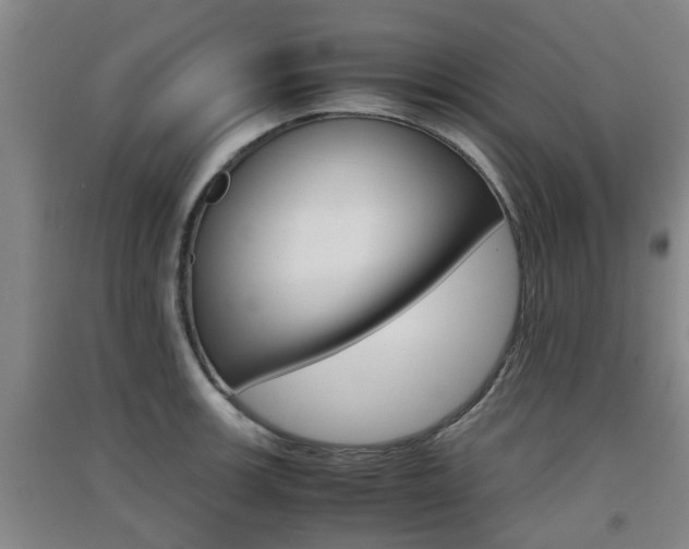 X0000091551139200708171036