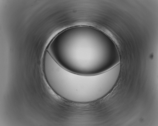 X0000091551140200708171036