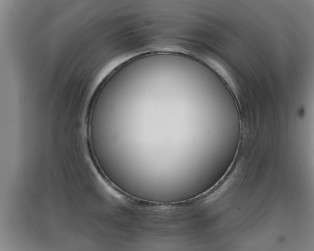 X0000091551141200708171036