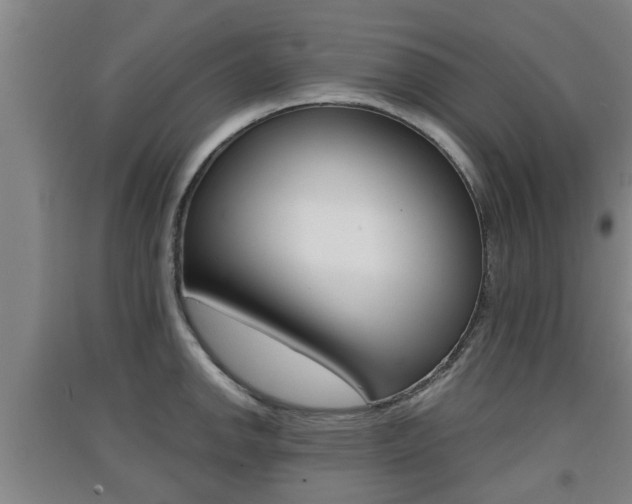X0000091551142200708171036