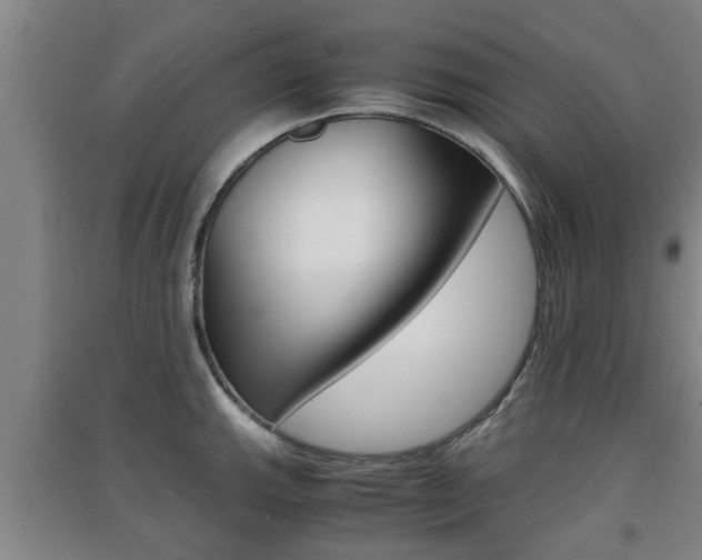 X0000091551143200708171036