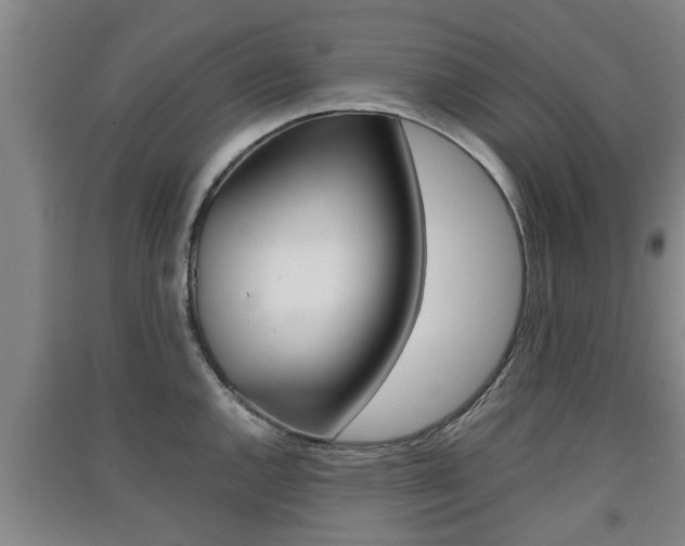 X0000091551144200708171036